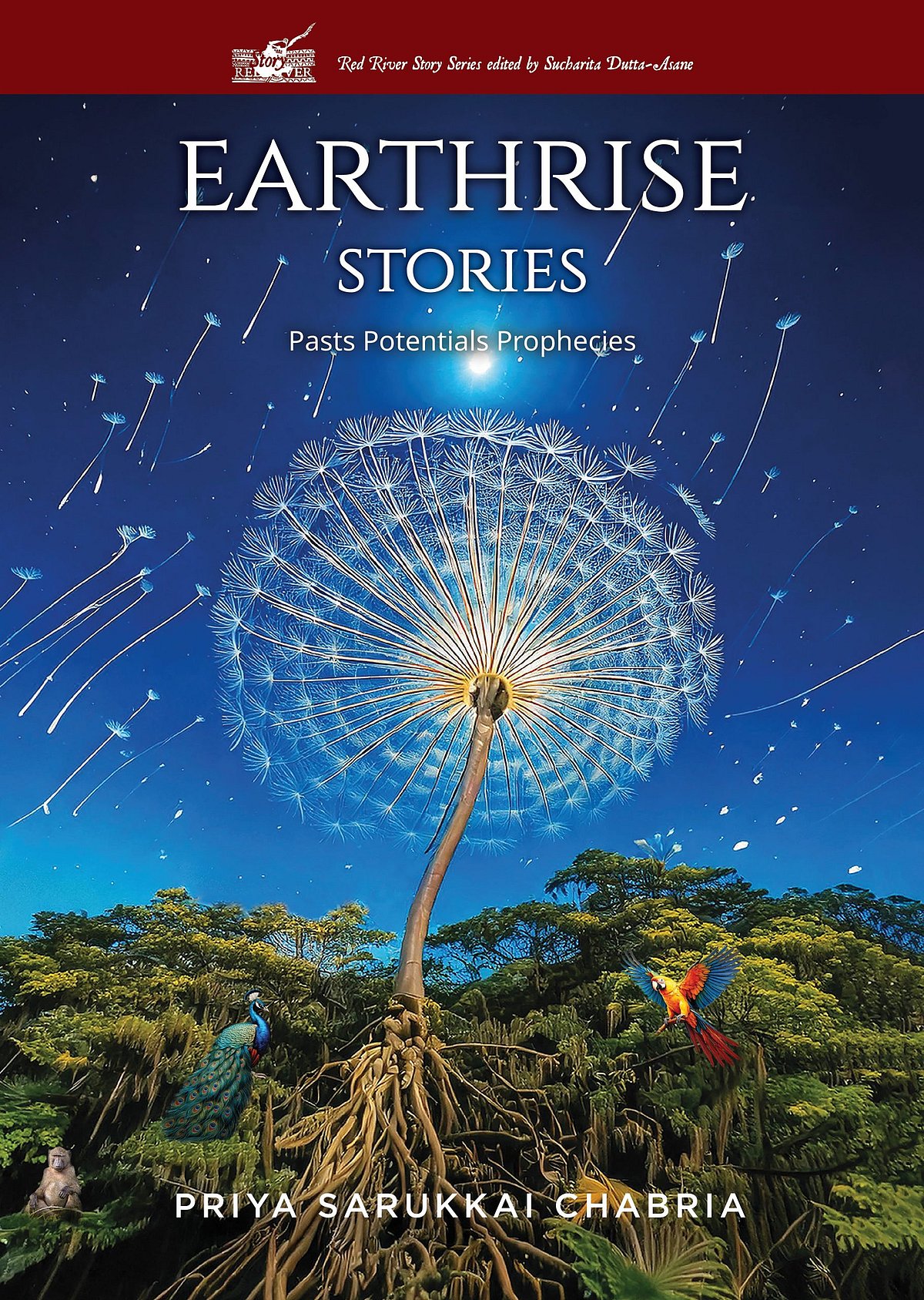 Earthrise Stories cover