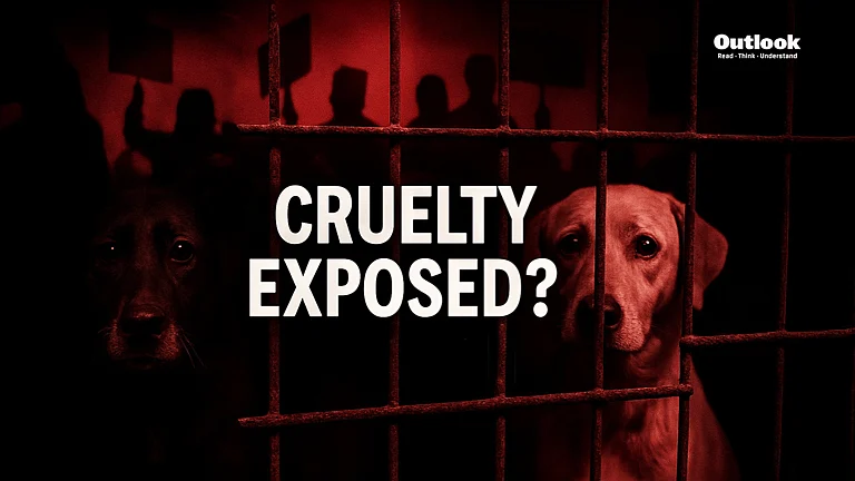 Rohini Dog Shelter Cruelty Claim - null