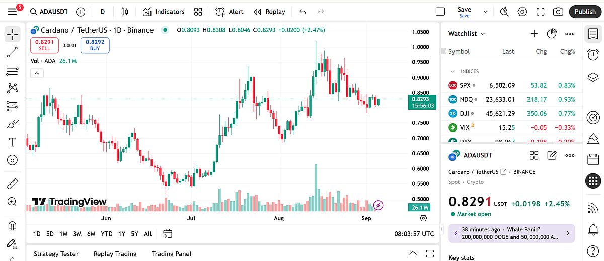 Cardano chart
