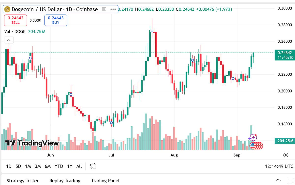 Dogecoin Price Activity