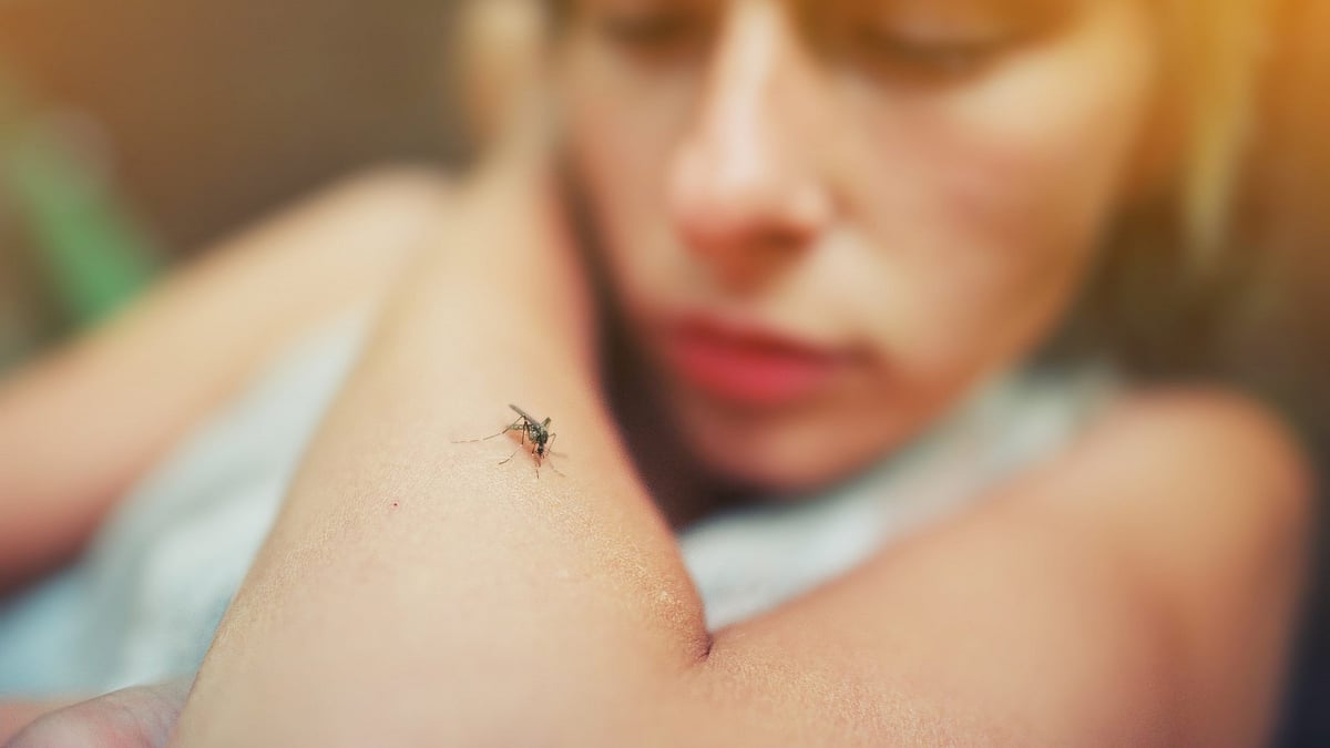 Nadda Urges States To Stay Vigilant Amid Rise In Dengue, Malaria And Monsoon-Related Illnesses