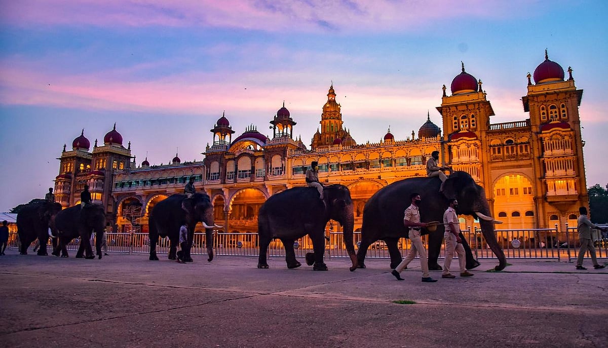 Mysuru Dasara Procession 2025: A Guide To The Royal Jumboo Savari