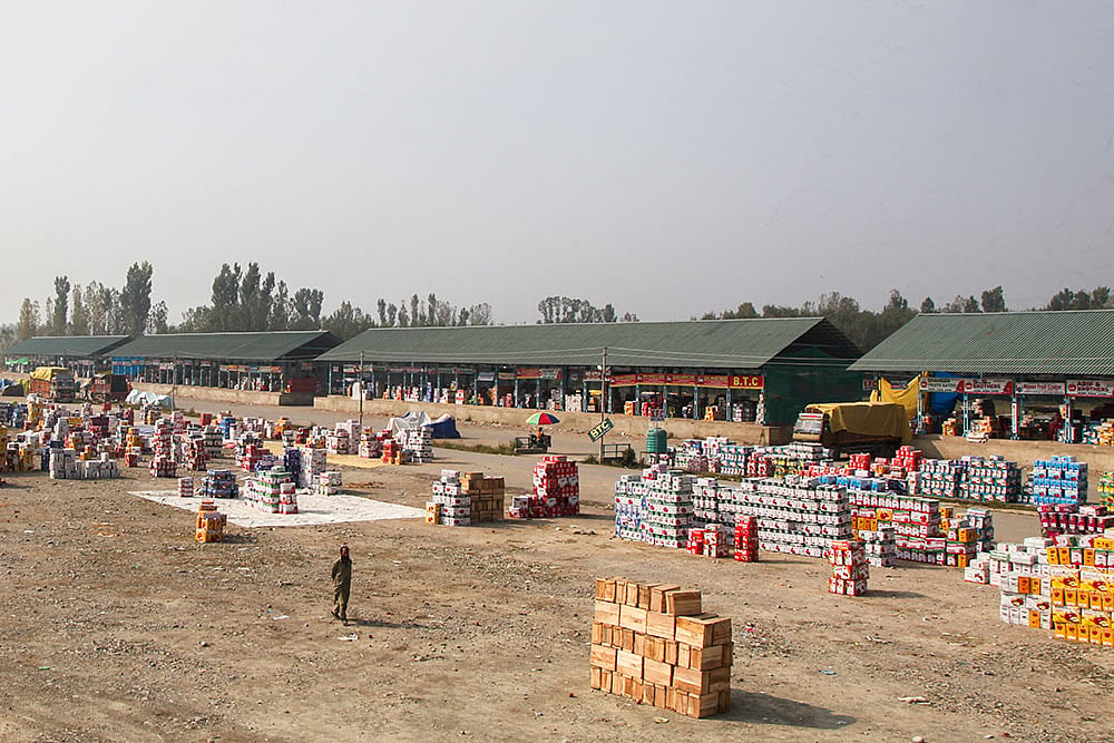 Kashmir Apple Crisis