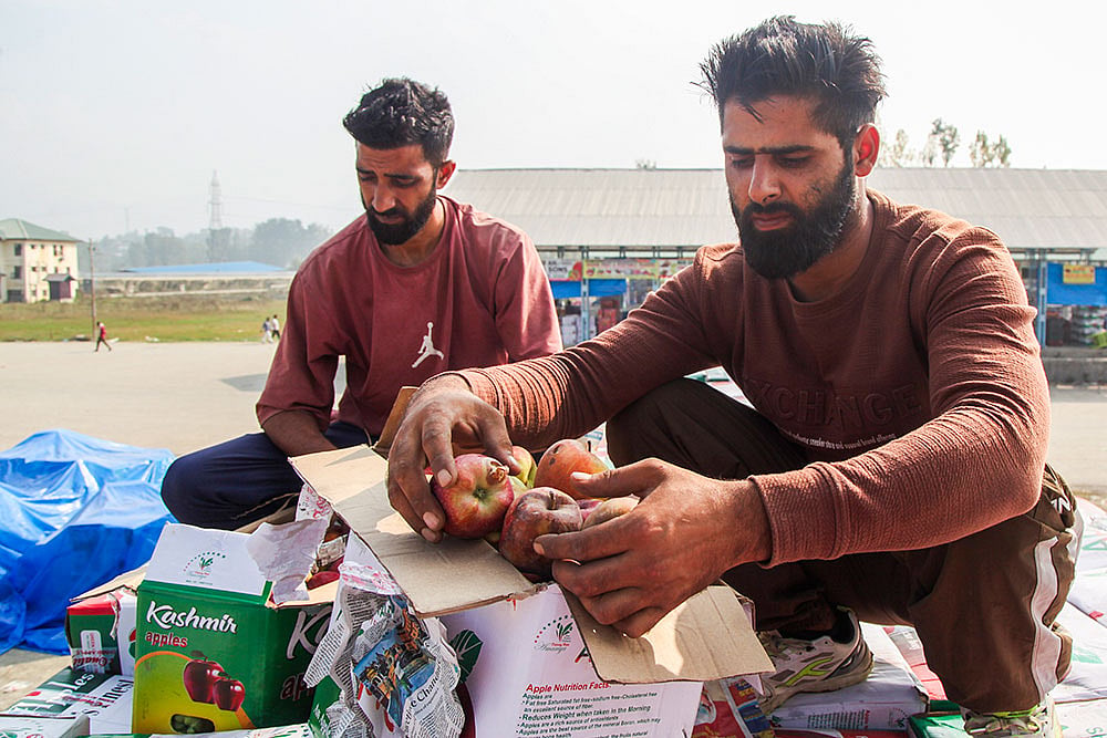Kashmir Apple Crisis