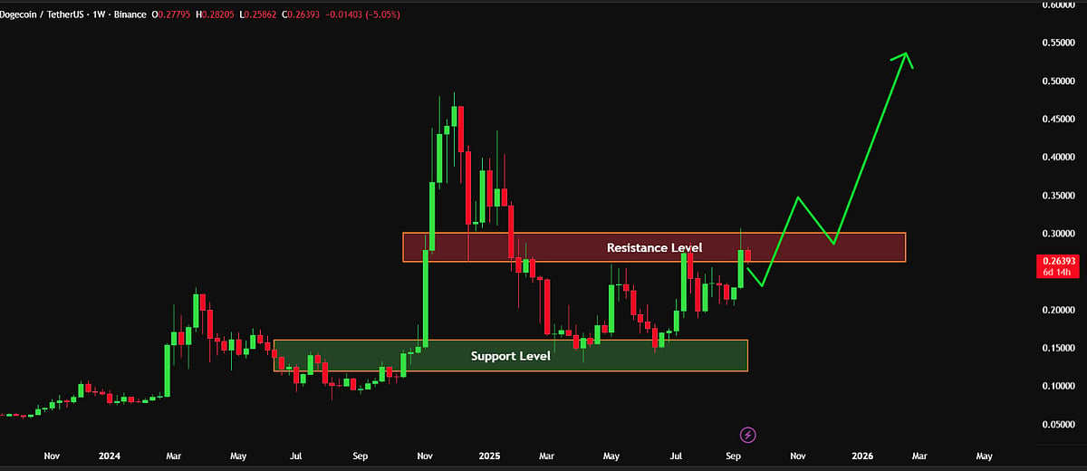 Dogecoin Price Chart