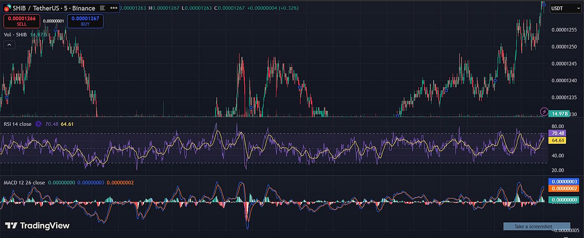 Shiba Inu price chart