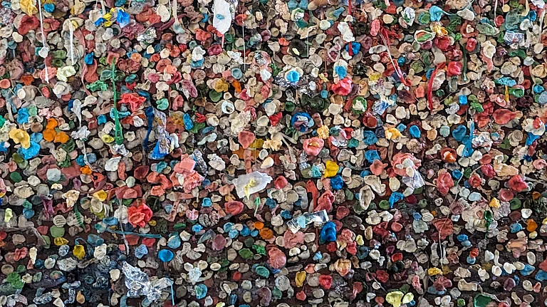 Gum Wall - Sritama Bhattacharyya