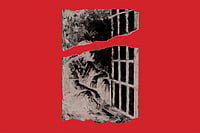 Illustration: Saahil : Prison Can Not Cage Voices 