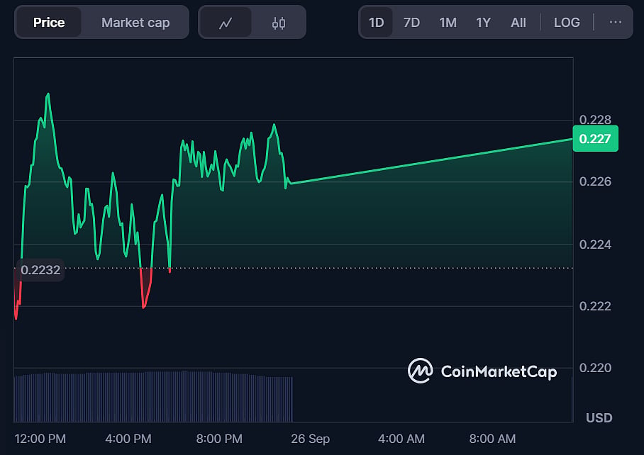 Dogecoin Price Chart