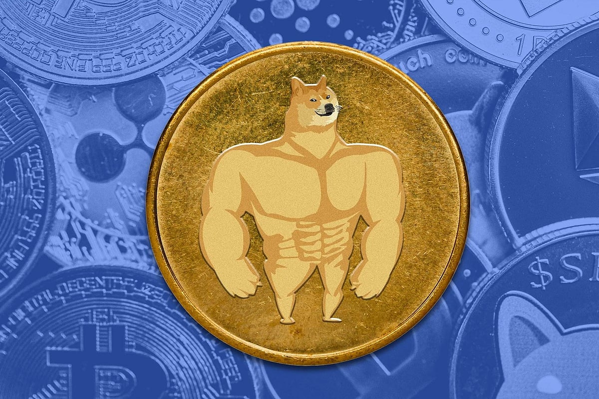 Maxi doge coin