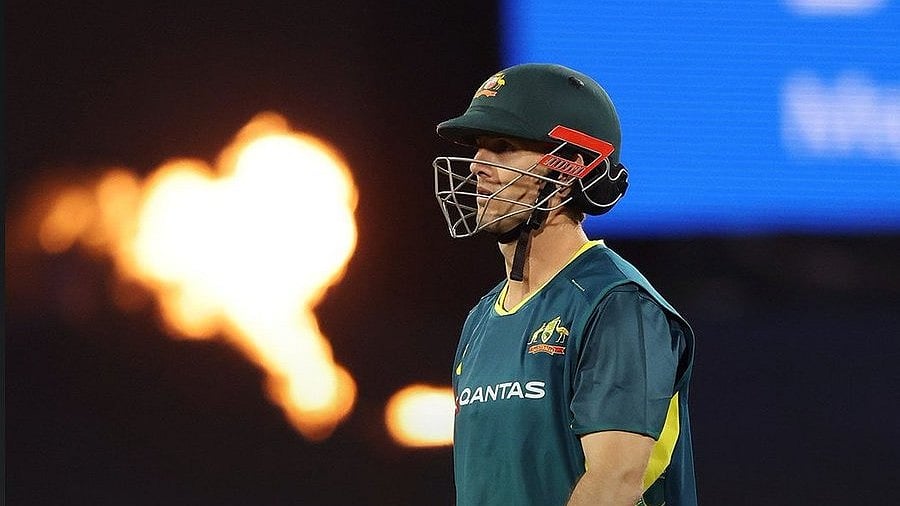 SonyLIV : New Zealand Vs Australia, 1st T20I: AUS Outplay Kiwis By Six Wickets To Go 1-0 Up In Three-Match Series