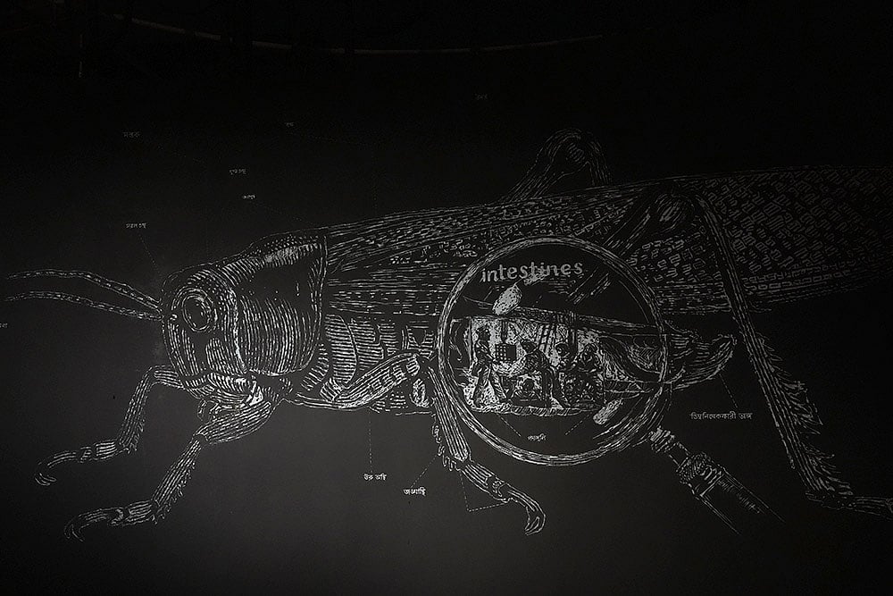 Kolkatas Nabanna Pandal by Behala Friends portrays war, famine, and survival