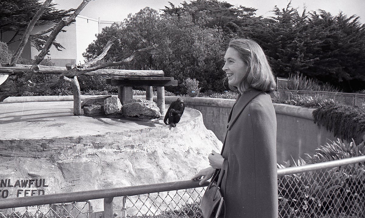 Chronicle Staff | : Jane Goodall |