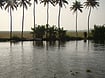 The Strike In Kuttanad That Made History Wikimedia Commons : Kuttanad Paddy fields and the bund by the side of river