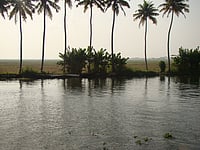 The Strike In Kuttanad That Made History Wikimedia Commons : Kuttanad Paddy fields and the bund by the side of river