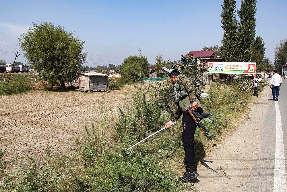 Destruction of wild cannabis in J-K