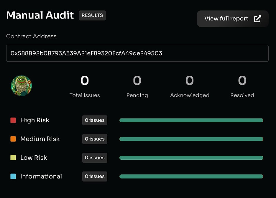 Manual Audit