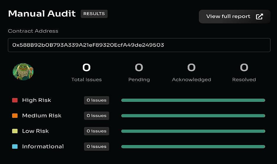 Manual Audit result