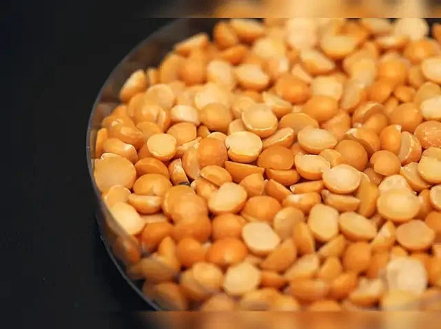 yellow pea