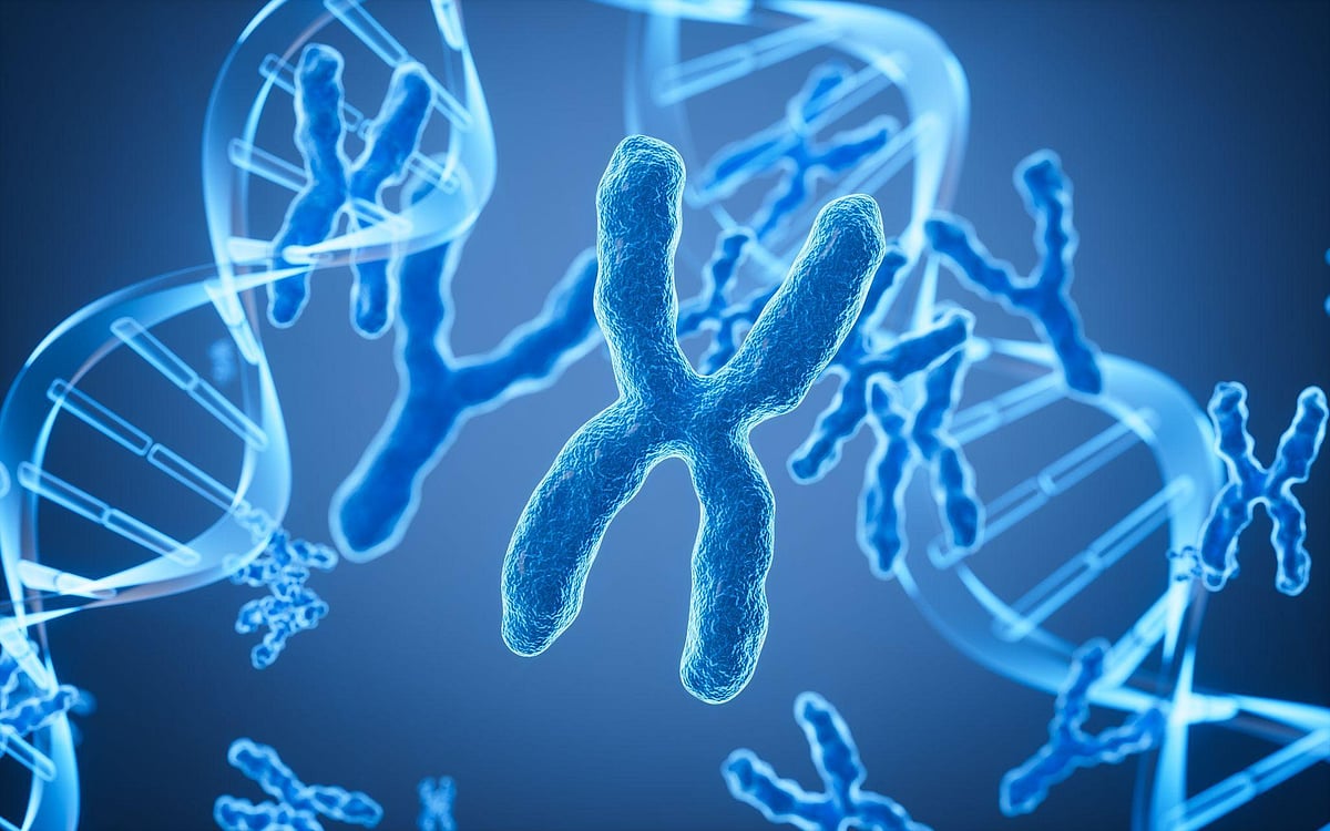 A blue illustration of a chromosome and a DNA double helix