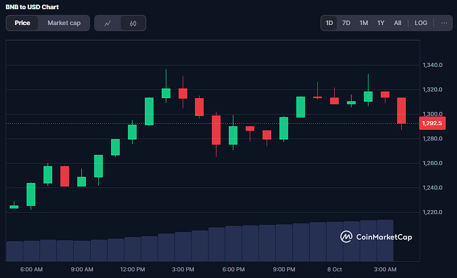 BNB Coin Price Chart