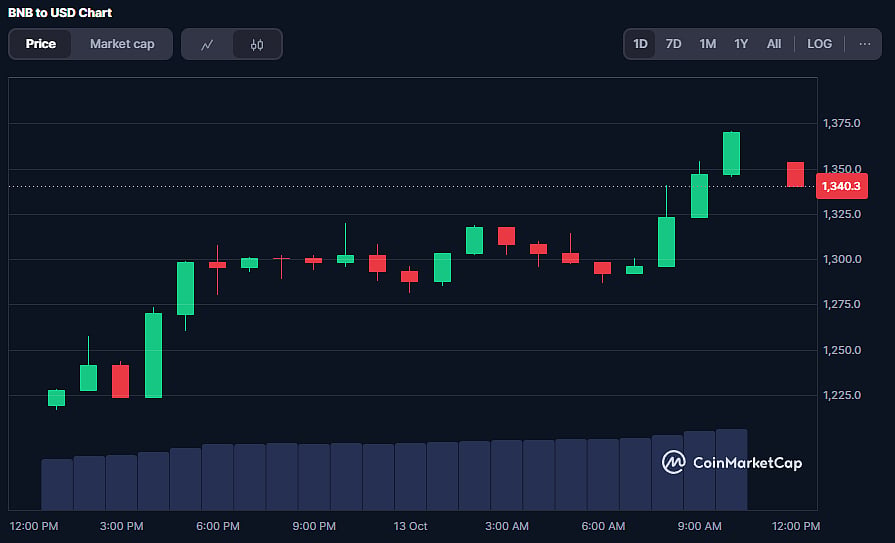 BNB Coin Price Chart