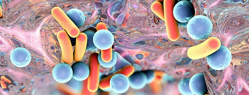 a close up image of bacteria