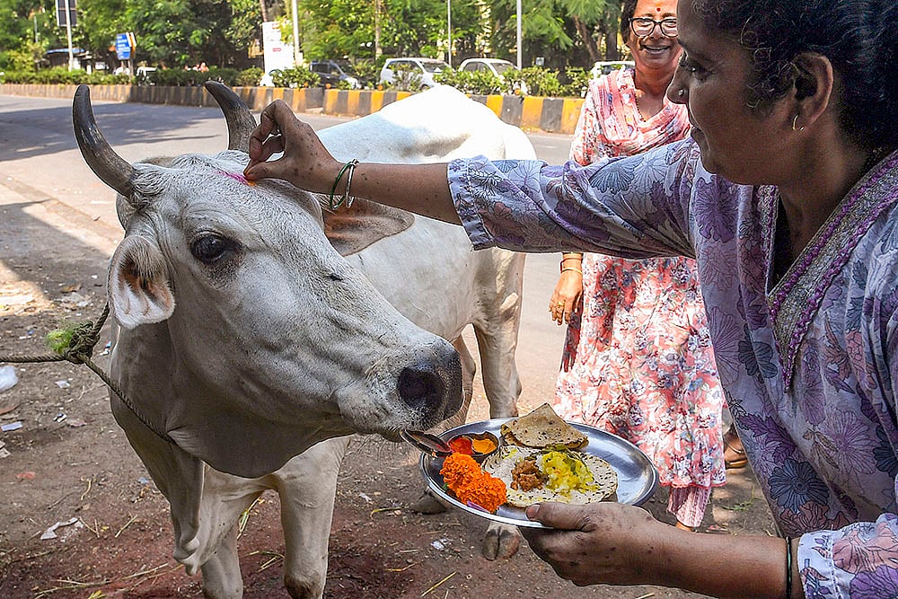 Govatsa Dwadashi celebrations in Mumbai
