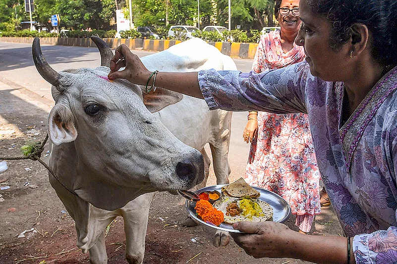 Govatsa Dwadashi celebrations in Mumbai