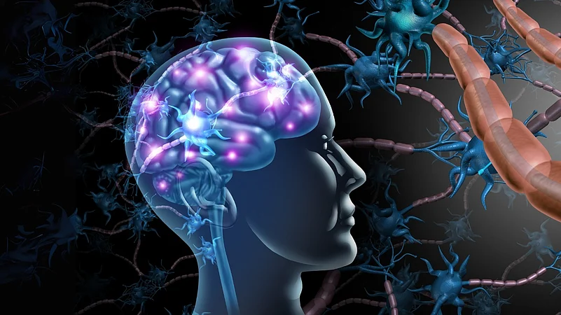 illustration showing brain and brain cells
