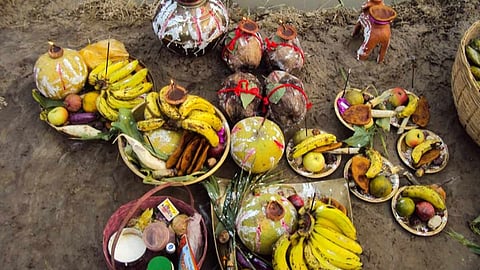 Seasonal Fruits