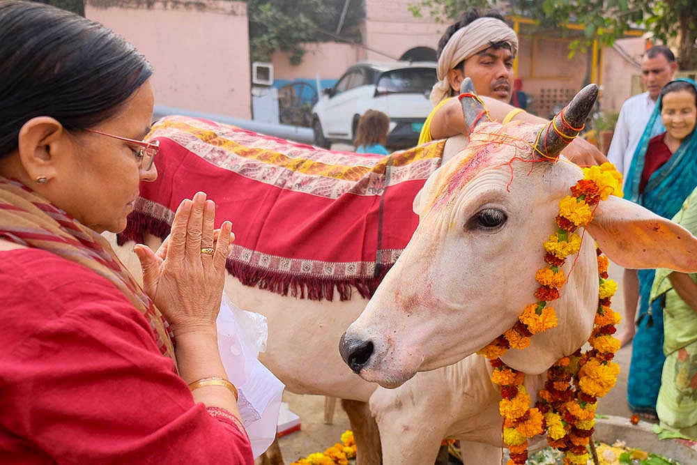 Gopashtami festival in Gurugram