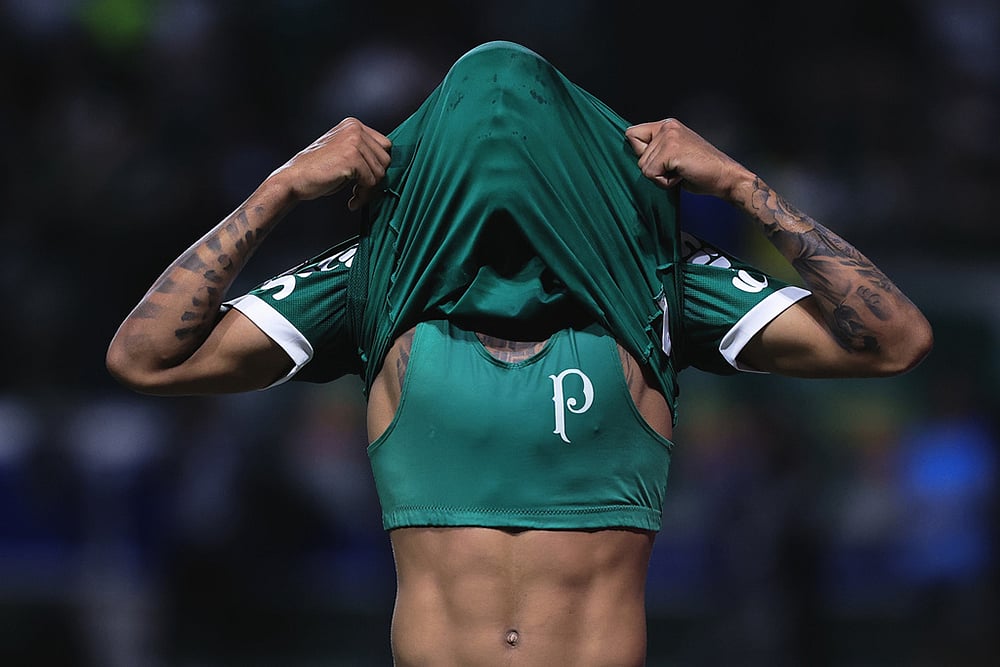 Brazil Ecuador Soccer Copa Libertadores Semi-Final Second Leg Palmeiras Vs LDU Quito_Allan 