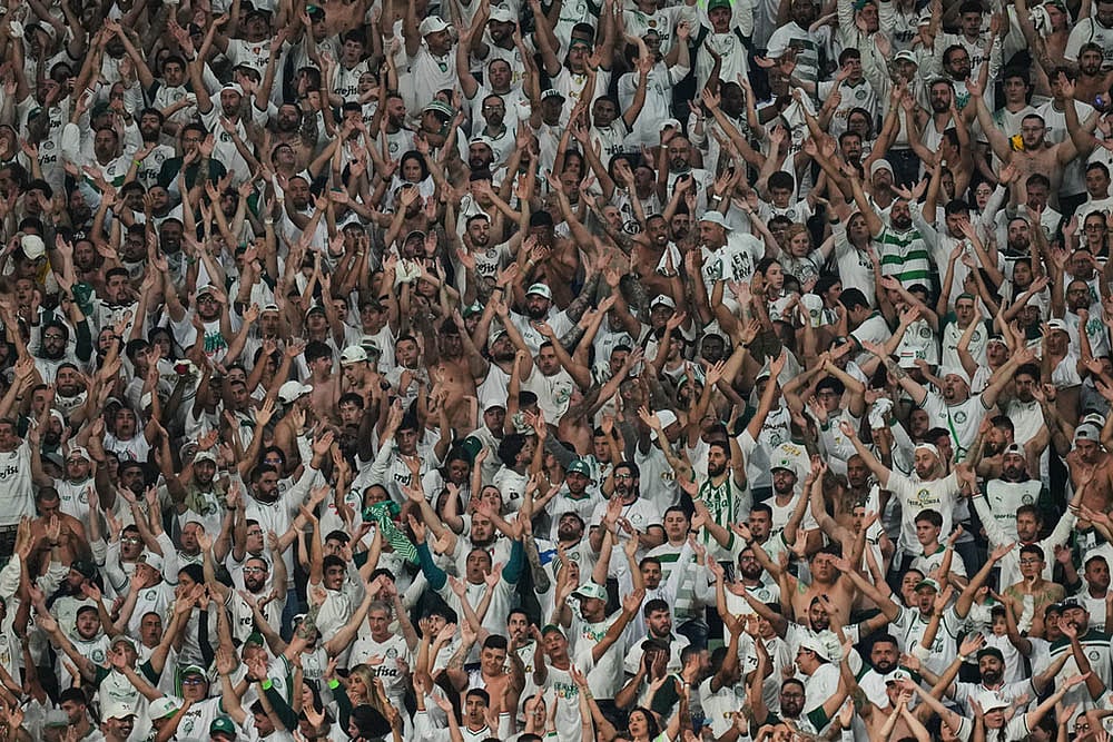 Brazil Ecuador Soccer Copa Libertadores Semi-Final Second Leg Palmeiras Vs LDU Quito_Palmeiras fans
