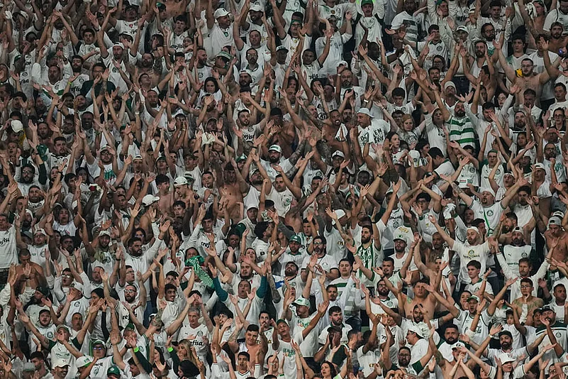 Brazil Ecuador Soccer Copa Libertadores Semi-Final Second Leg Palmeiras Vs LDU Quito_Palmeiras fans
