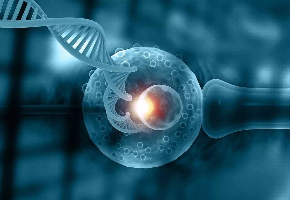 AI-Guided Sperm Recovery Method Brings First Pregnancy Success