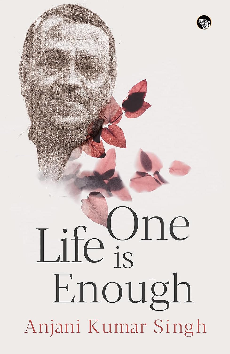 Book Cover : If someone has become rich and successful it can only be because he has used foul means—I understood this very early in my tenure. 