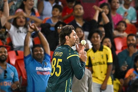 Australian fielder Tim David takes a catch to dismiss Indian batsman Suryakumar Yadav during a T20 cricket international between India and Australia in Carrara, Australia.