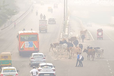 Commuters on a smoggy morning, at Anand Vihar, in New Delhi.