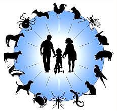 Experts Urge Integrated Human-Animal-Environment Strategy Amid Rising Infections