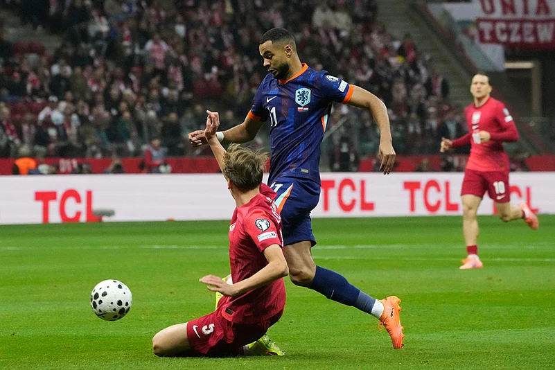 Poland vs Netherlands World Cup Soccer European Qualifiers-Jan Ziolkowski
