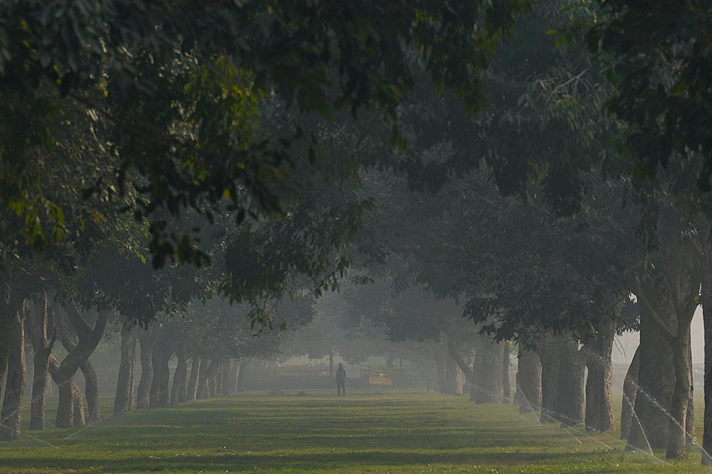 Sprinklers run on the lawns near Kartavya Path