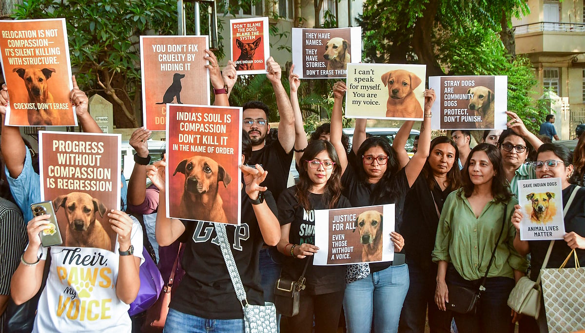 PTI : Mumbai: Animal lovers stage a protest against the Supreme Court's recent order directing authorities to remove stray dogs from institutional areas such as schools, hospitals, railway stations and bus stands, and shift them to designated shelters, in Mumbai, Sunday, Nov. 16, 2025. 