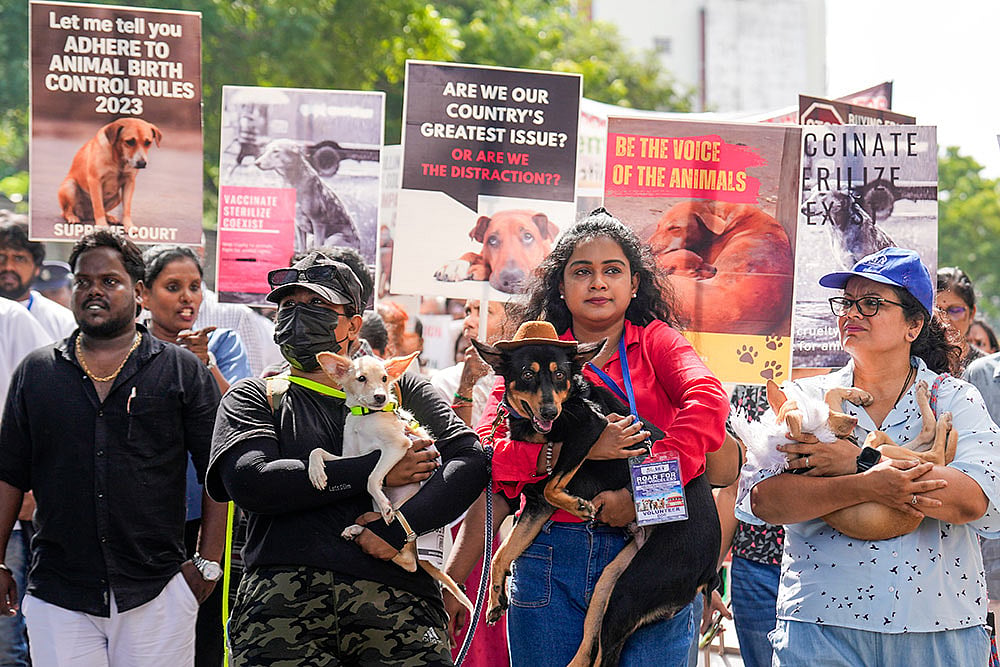 | Photo: PTI/R SenthilKumar : Volunteers hold dogs during a protest, in Chennai. representational image |