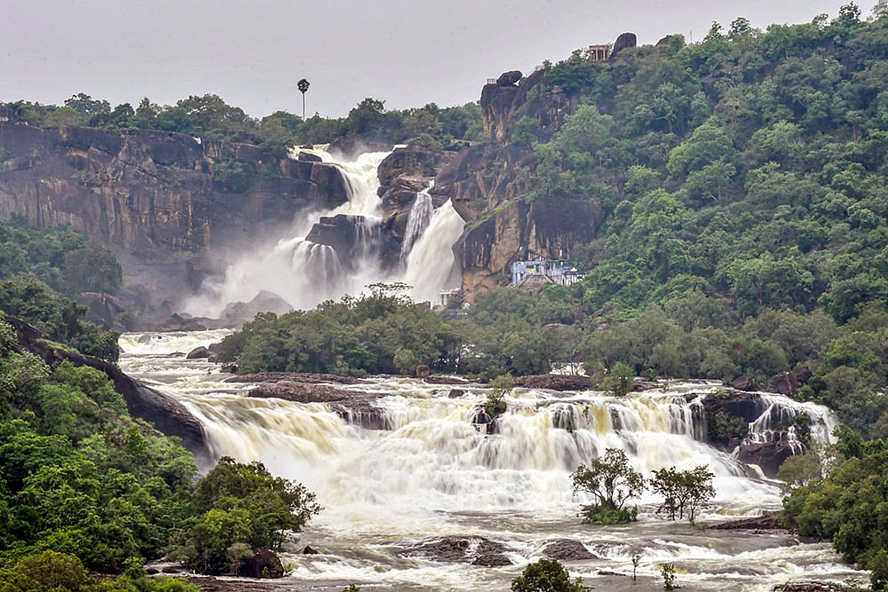 Papanasam dam shutters opened in Tirunelveli