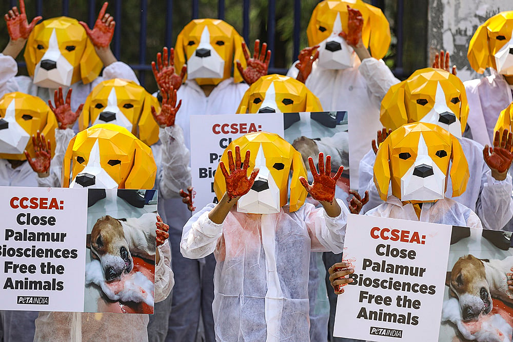 PETA India stages protest in Hyderabad over rescue of confined animals