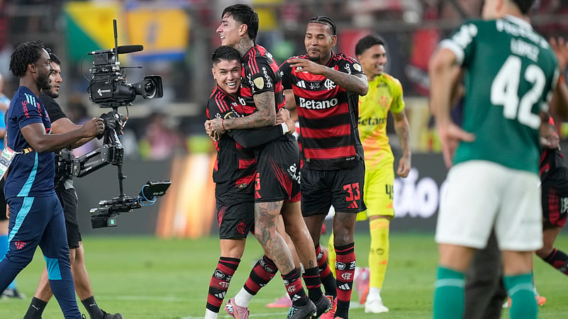 Palmeiras 0-1 Flamengo Highlights, Copa Libertadores Final