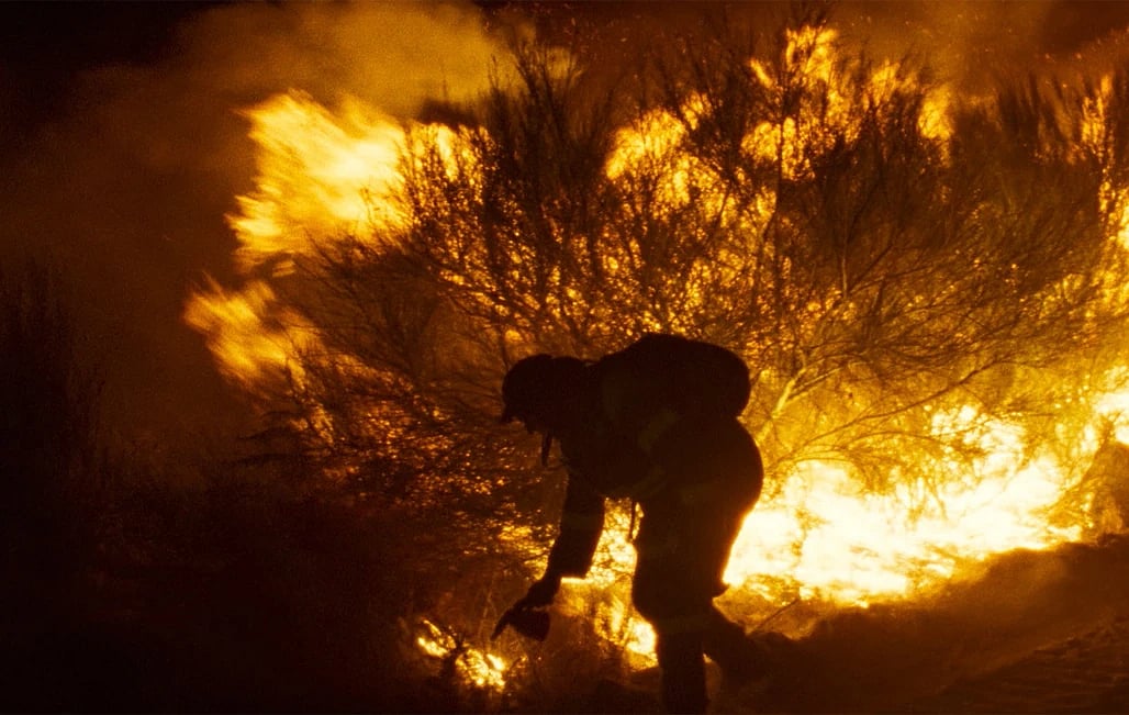 Fire Will Come