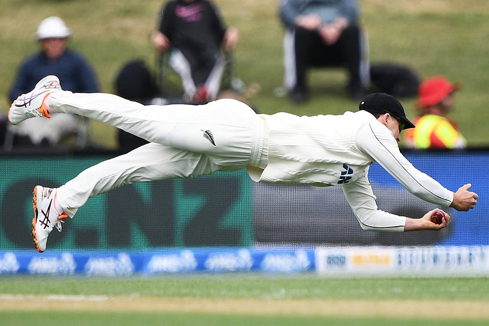 New Zealand vs West Indies 1st Test Day 2 photo-Will Young