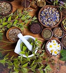 Local Flora Anchor Tribal Healthcare In Jhargram, Study Finds